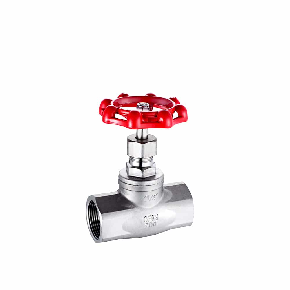Globe Valve